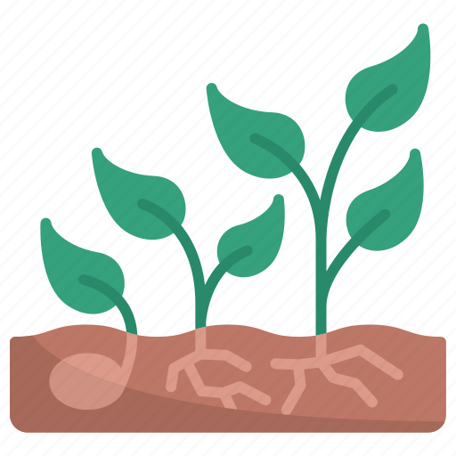 Growth, seed, plant, gardening, garden, sprout, farm icon - Download on Iconfinder