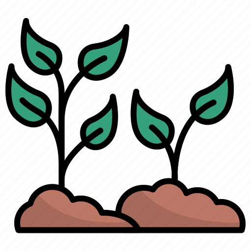 Plant, green, flora, leaves, spring, mature, sprout icon - Download on Iconfinder
