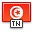 Flag, tunisia icon - Free download on Iconfinder