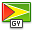 Flag, guyana icon - Free download on Iconfinder