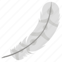 bird feather, feather, plumage, quill, tail feather