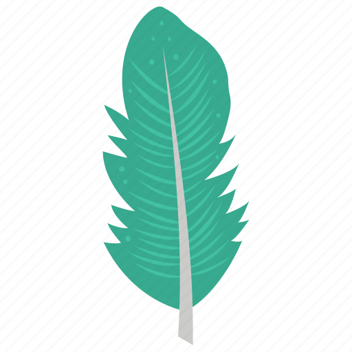Feather, flight feather, plumage, plume, quill feather icon - Download on Iconfinder
