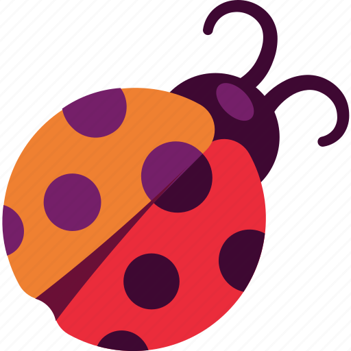Beetle, bug, insect, ladybug icon - Download on Iconfinder