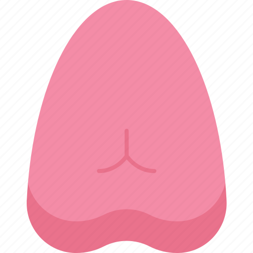 Sponge, menstrual, feminine, care, hygiene icon - Download on Iconfinder