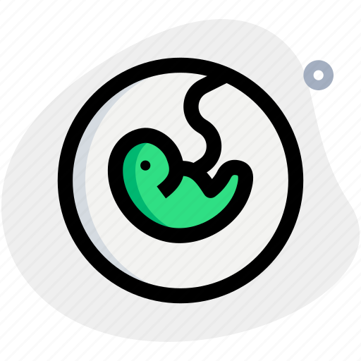 Fetus, medical, fertility, pregnancy icon - Download on Iconfinder