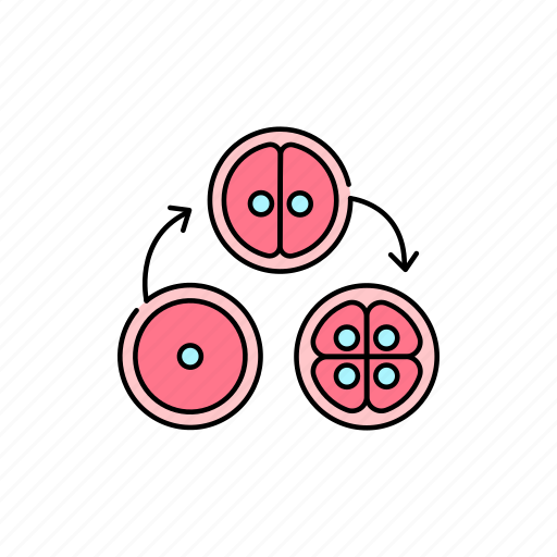 Cell, division, process icon - Download on Iconfinder