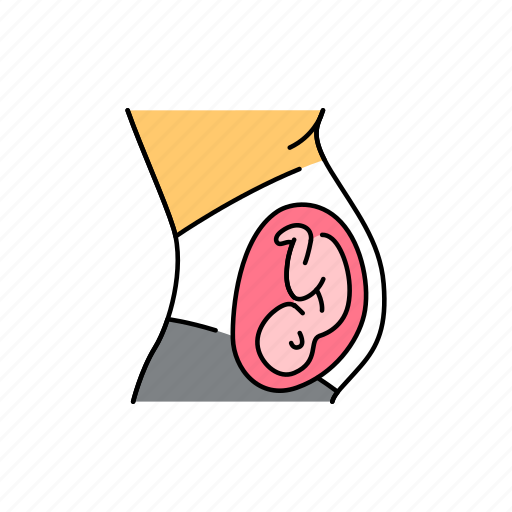 Pregnant, woman, embryo, development icon - Download on Iconfinder