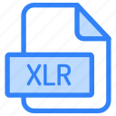 file, folder, format, type, archive, document, extension, xlr
