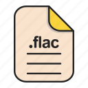audio, document, extension, file, flac, format
