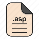 asp, document, extension, file, format, type