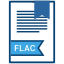 document, extension, file, flac 