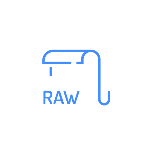 Raw, file, extenstion icon - Free download on Iconfinder