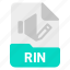 document, file, format, rin 