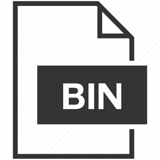 Bin, file format, extension icon - Download on Iconfinder