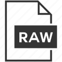 file format, raw, document, extension