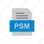 document, file, format, psm 