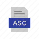 asc, document, file, format