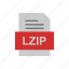 document, file, format, lzip 