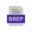 brep, document, file, format 
