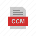 ccm, document, file, format