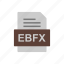 document, ebfx, file, format 