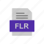 document, file, flr, format 
