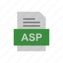 asp, document, file, format