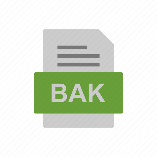 Bak, document, file, format icon - Download on Iconfinder