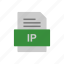 document, file, format, ip 