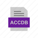 accdb, document, file, format