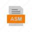 asm, document, file, format 