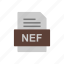 document, file, format, nef 