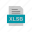 document, file, format, xlsb 