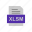 document, file, format, xlsm 