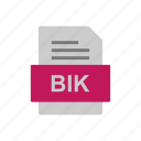 bik, document, file, format