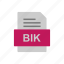 bik, document, file, format 