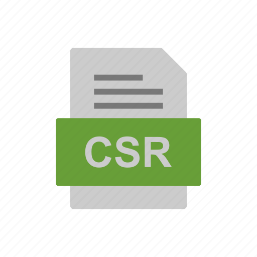 Csr, document, file, format icon - Download on Iconfinder