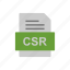 csr, document, file, format 