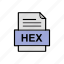 document, file, format, hex 