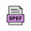 document, file, format, spef 