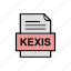 document, file, format, kexis 