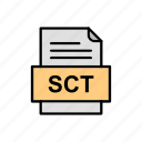 document, file, format, sct