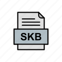 document, file, format, skb