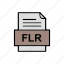 document, file, flr, format 