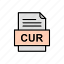 cur, document, file, format