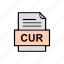 cur, document, file, format 