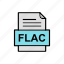 document, file, flac, format 