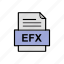 document, efx, file, format 