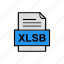 document, file, format, xlsb 