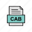 cab, document, file, format, v 